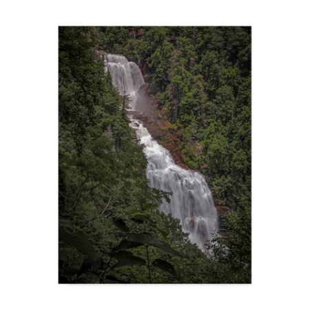 J.D. Mcfarlan 'Whitewater Falls Stream' Canvas Art,14x19